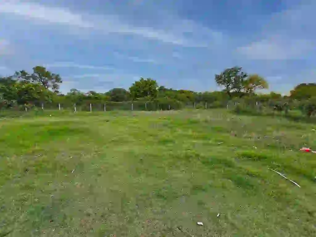 casa_quinta_con_amplio_terreno_zona_el_palmar_patio